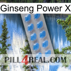 Ginseng Power X 22